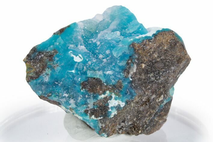 Sparkling Druzy Quartz on Chrysocolla - DR Congo #347489